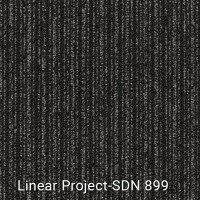 Linear Project-SDN 899